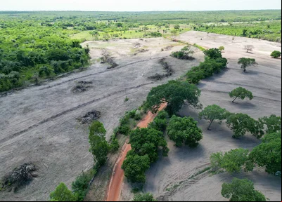Área de desmatamento ilegal no Norte do Piauí