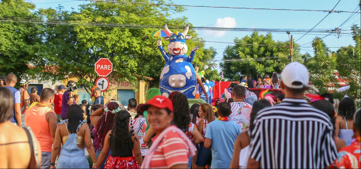 Bloco Vaca Atolada percorre ruas do bairro Matinha