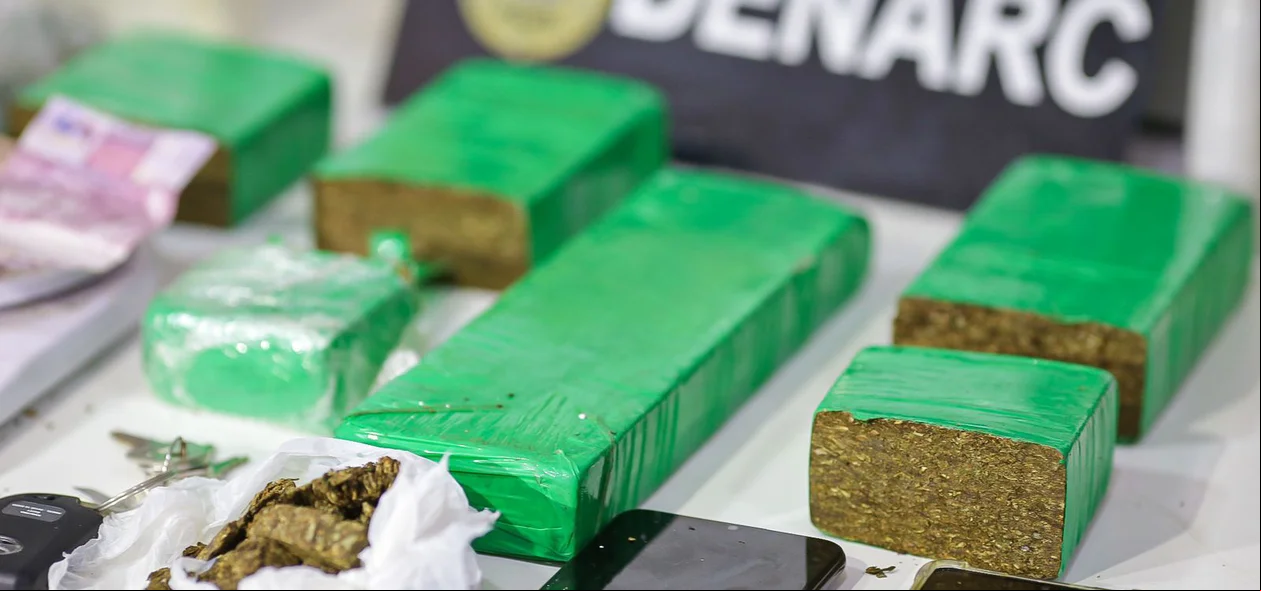 Grande quantidade de maconha