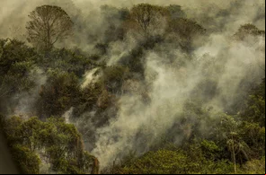 Queimadas na Amazônia