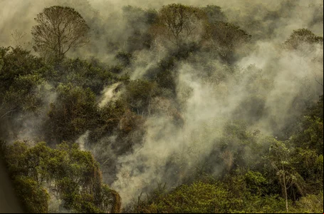 Queimadas na Amazônia