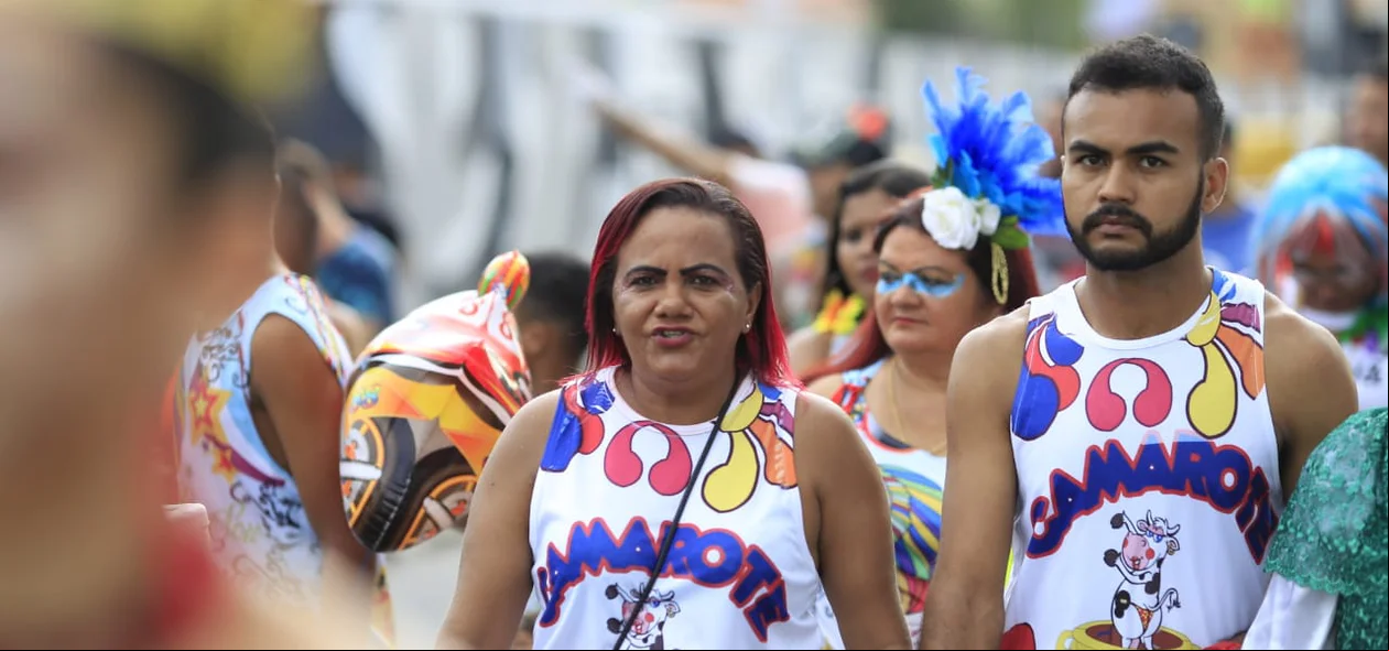 Foliões curtem o bloco Vaca Atolada