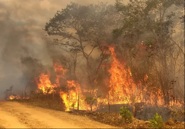 Incêndio em Piripiri