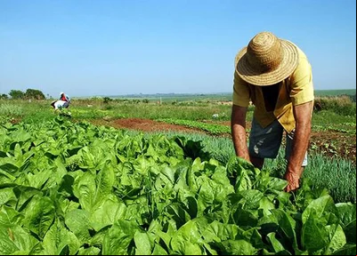 Temer desloca secretarias da reforma agrária para a Casa C
